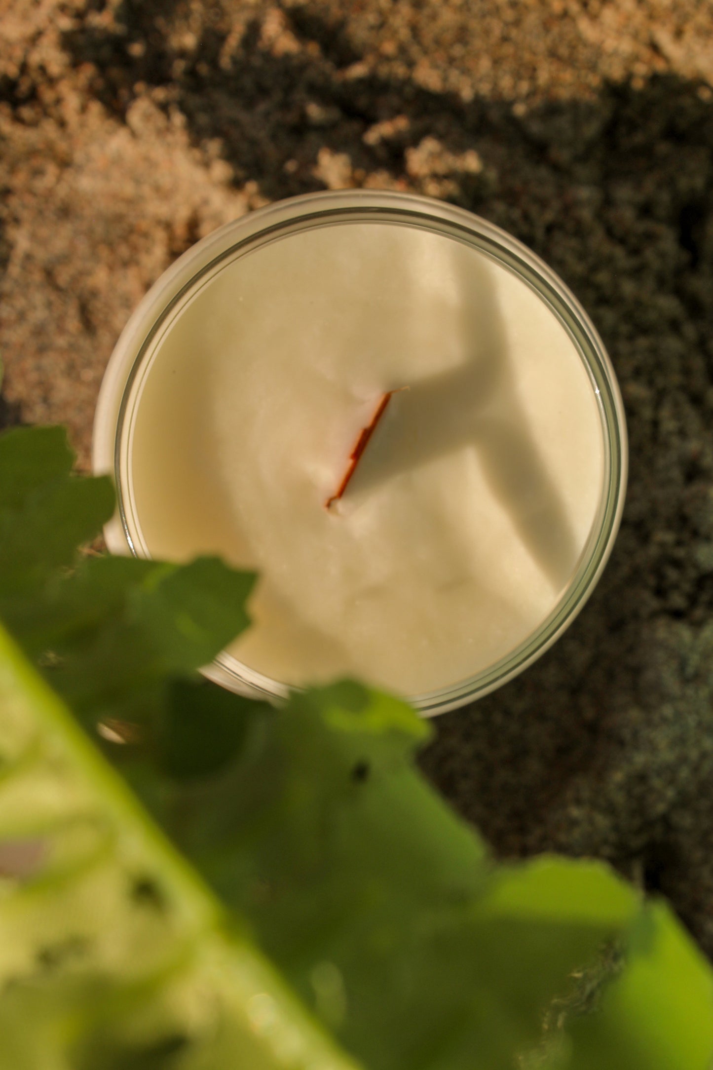 Chandelle de soya 16 oz - Summer Crush