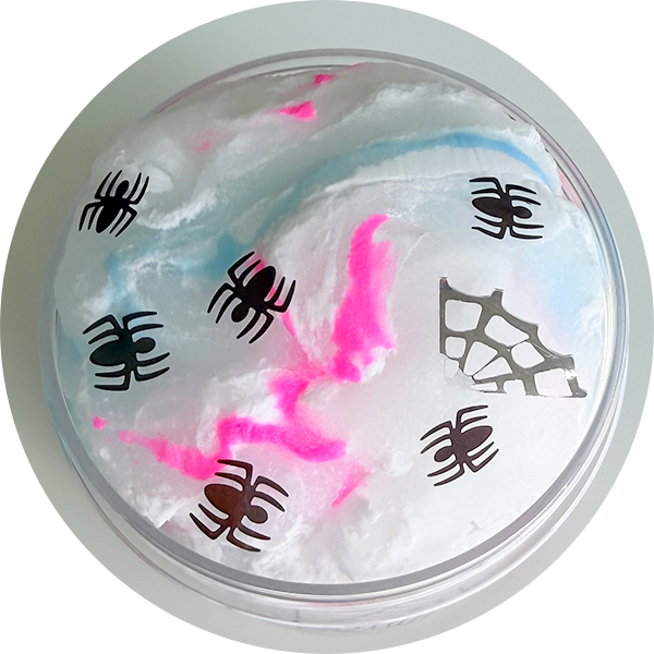 spider web