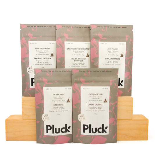 Black Tea Sample Bundle