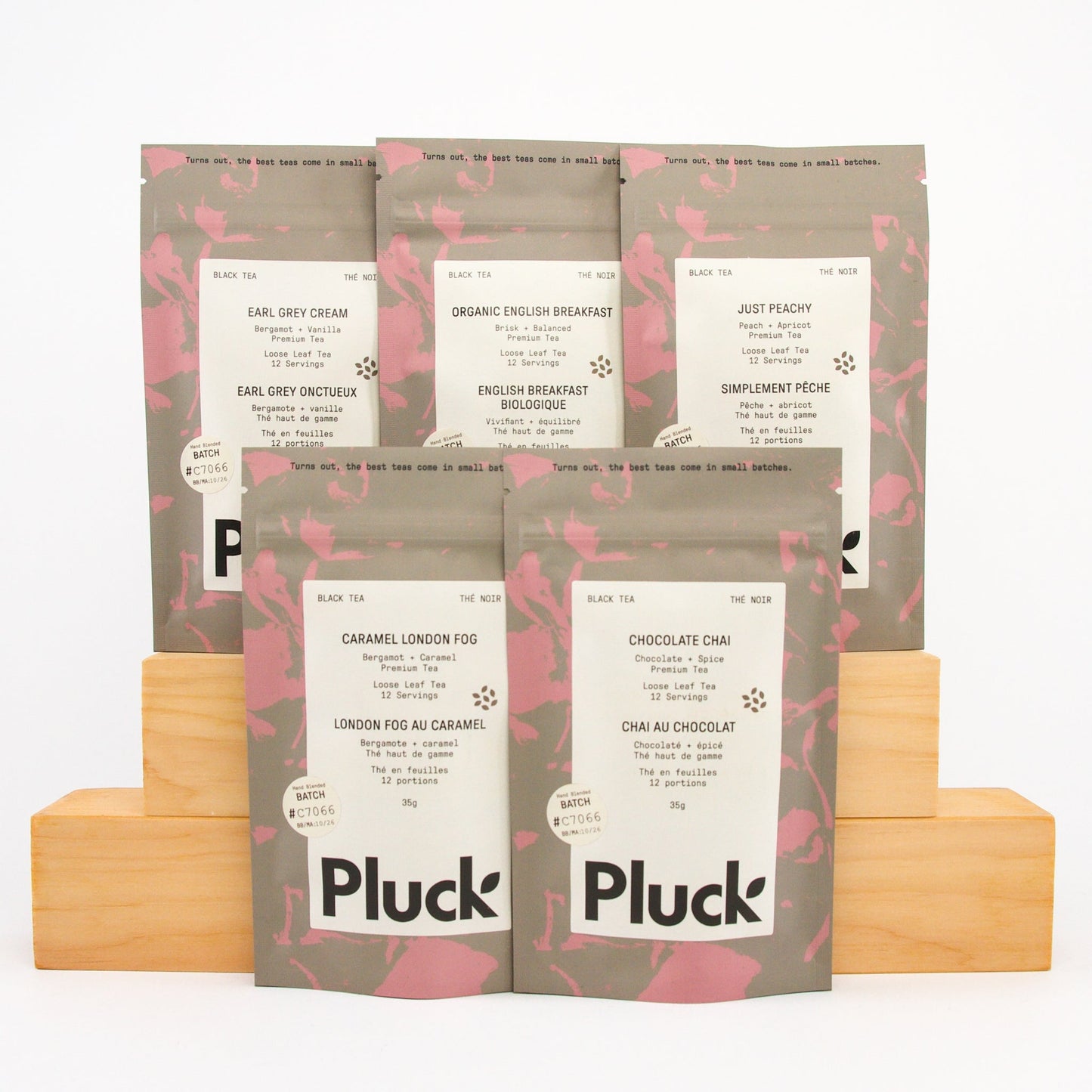 Black Tea Sample Bundle