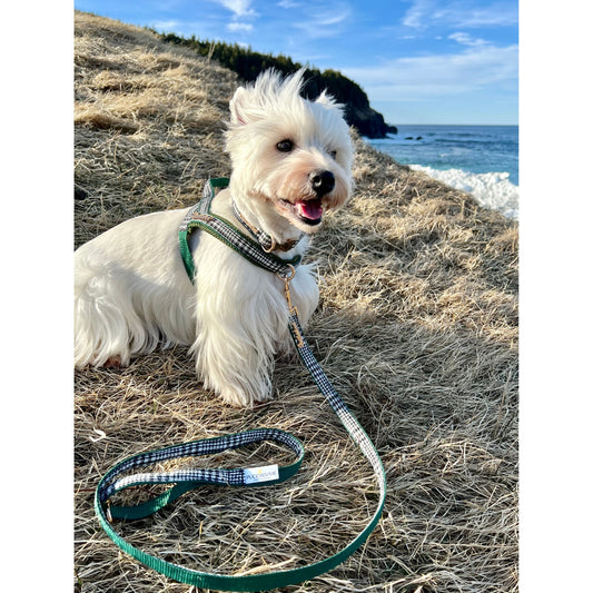 Fern Houndstooth Green One-Click Dog Harness