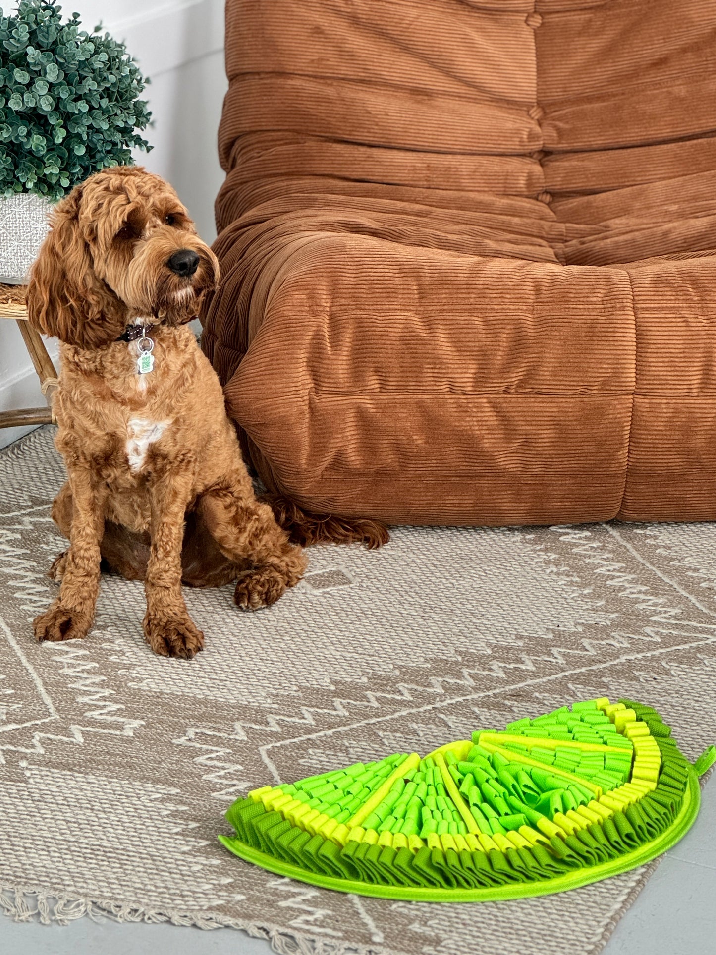 Zesty Lime™ Snuffle Mat