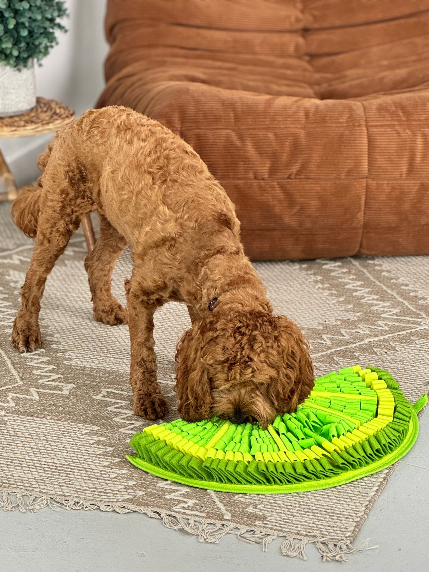 Zesty Lime™ Snuffle Mat