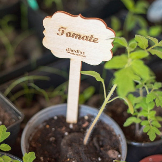 Identificateurs pour plants de légumes ou fines herbes