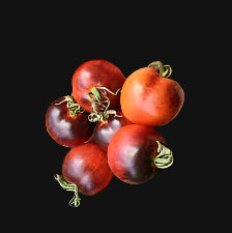 Indigo Rose Tomato
