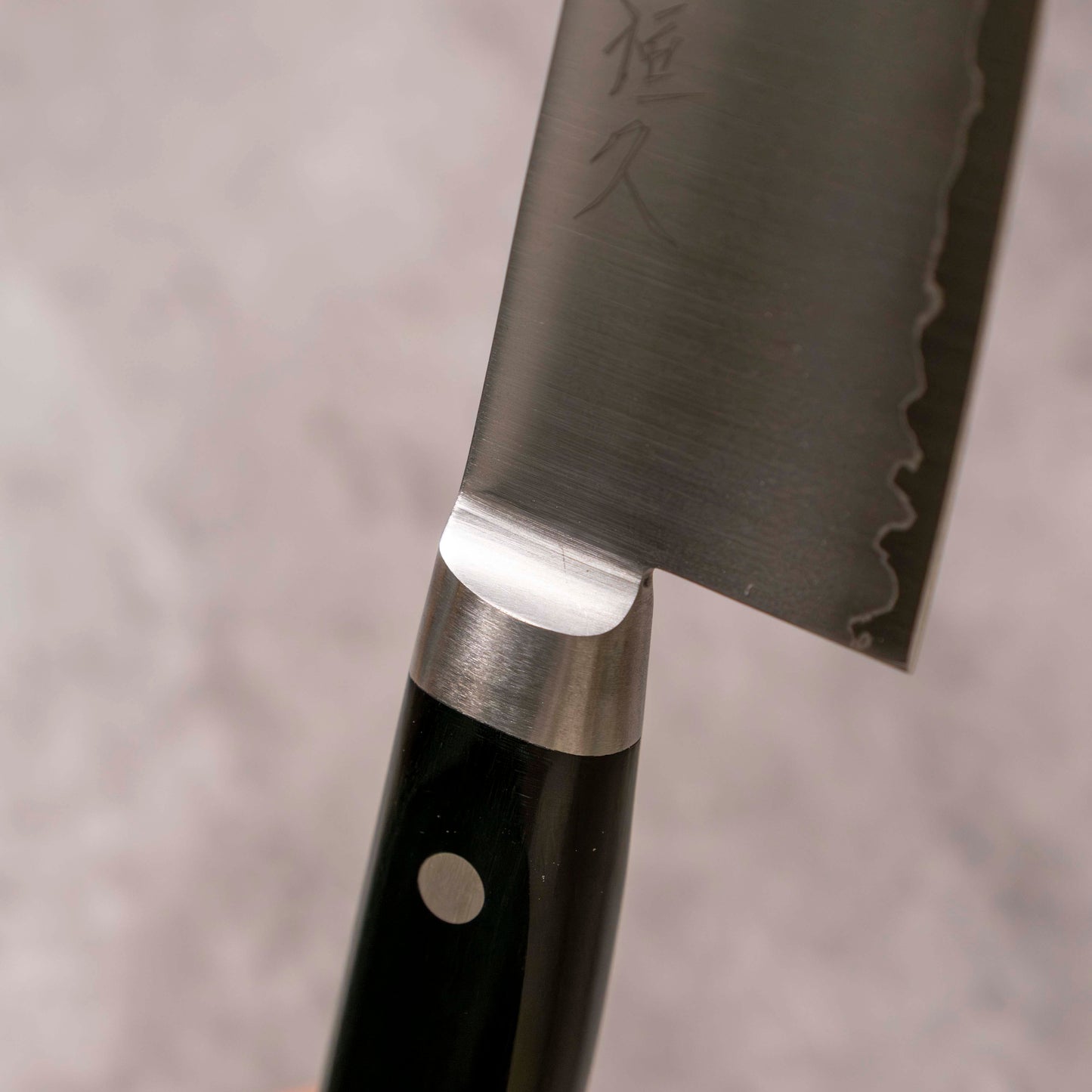 Tsunehisa Migaki VG-1 Gyuto 210 mm