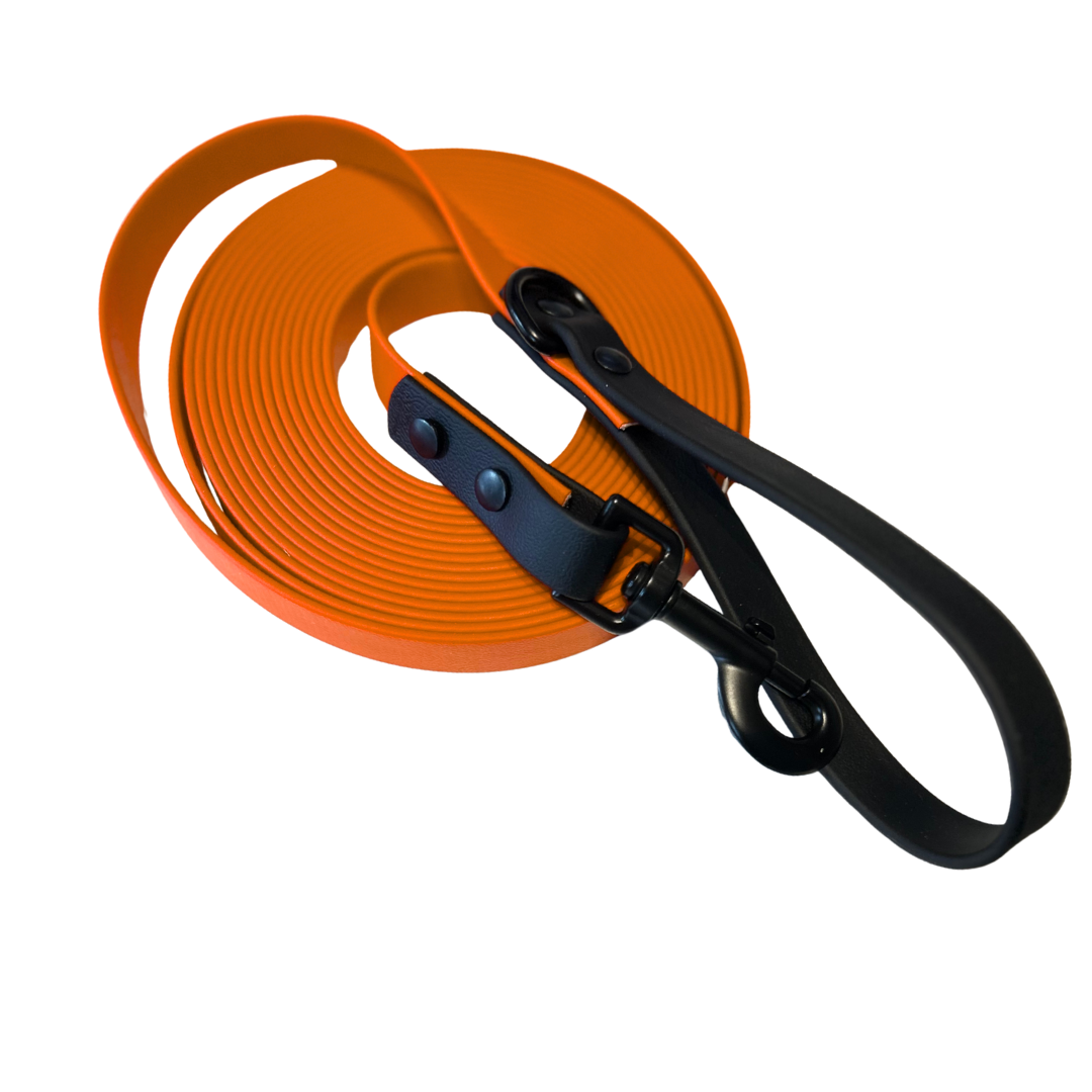 Longe - 3/4 - pour Chien en Biothane – Fait Main au Québec