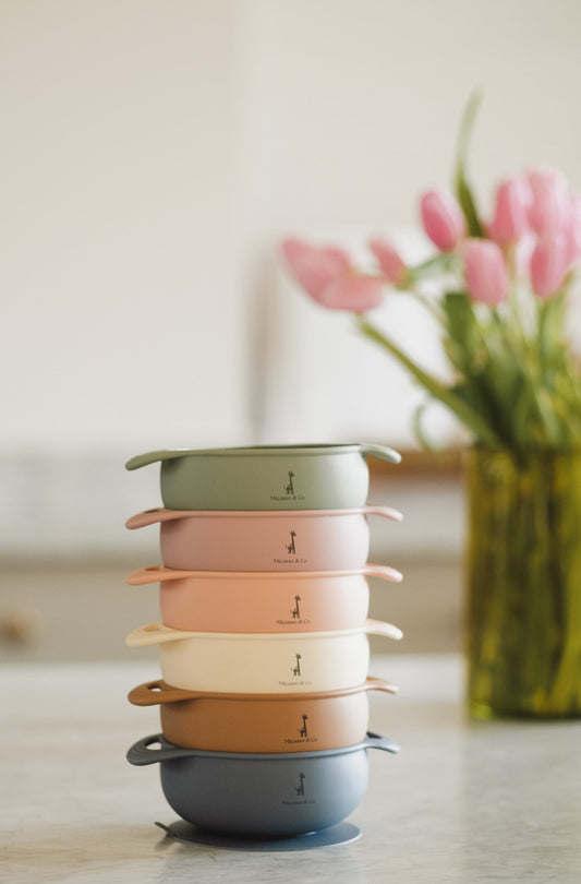 Bol en silicone à succion