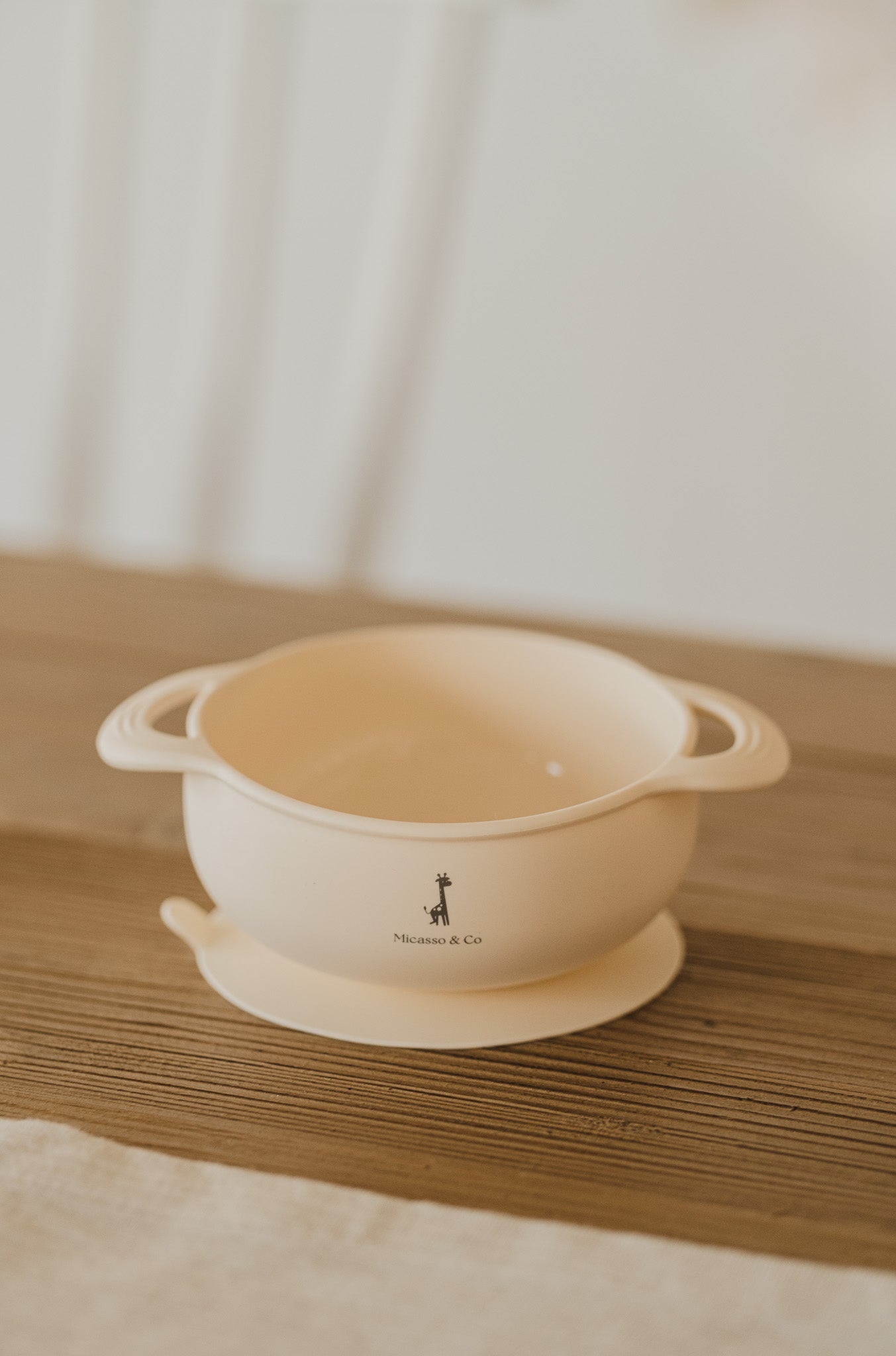 Bol en silicone à succion