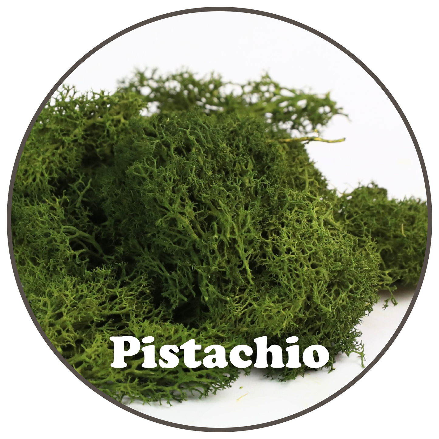 Premium Reindeer Moss Bag