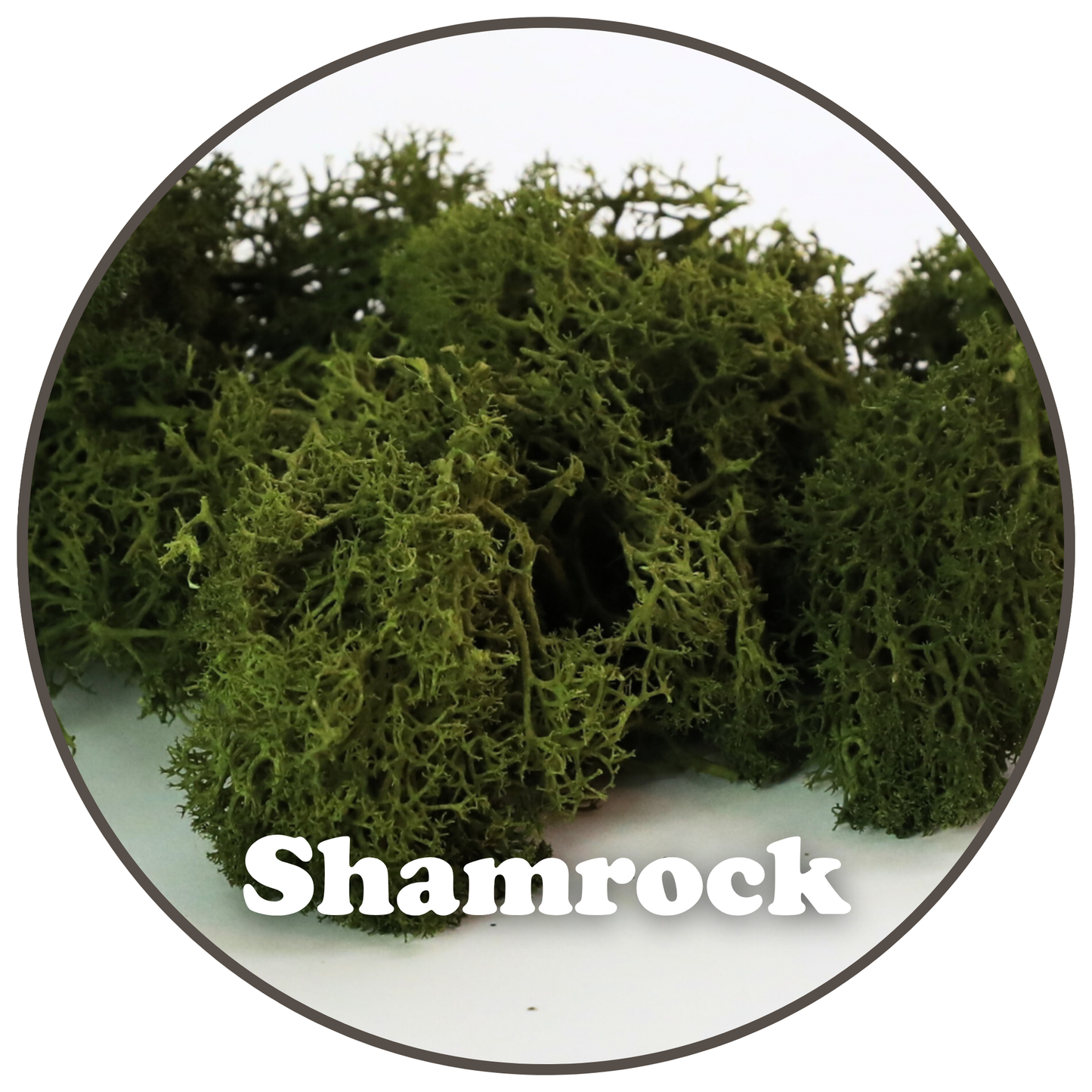 Premium Reindeer Moss Bag