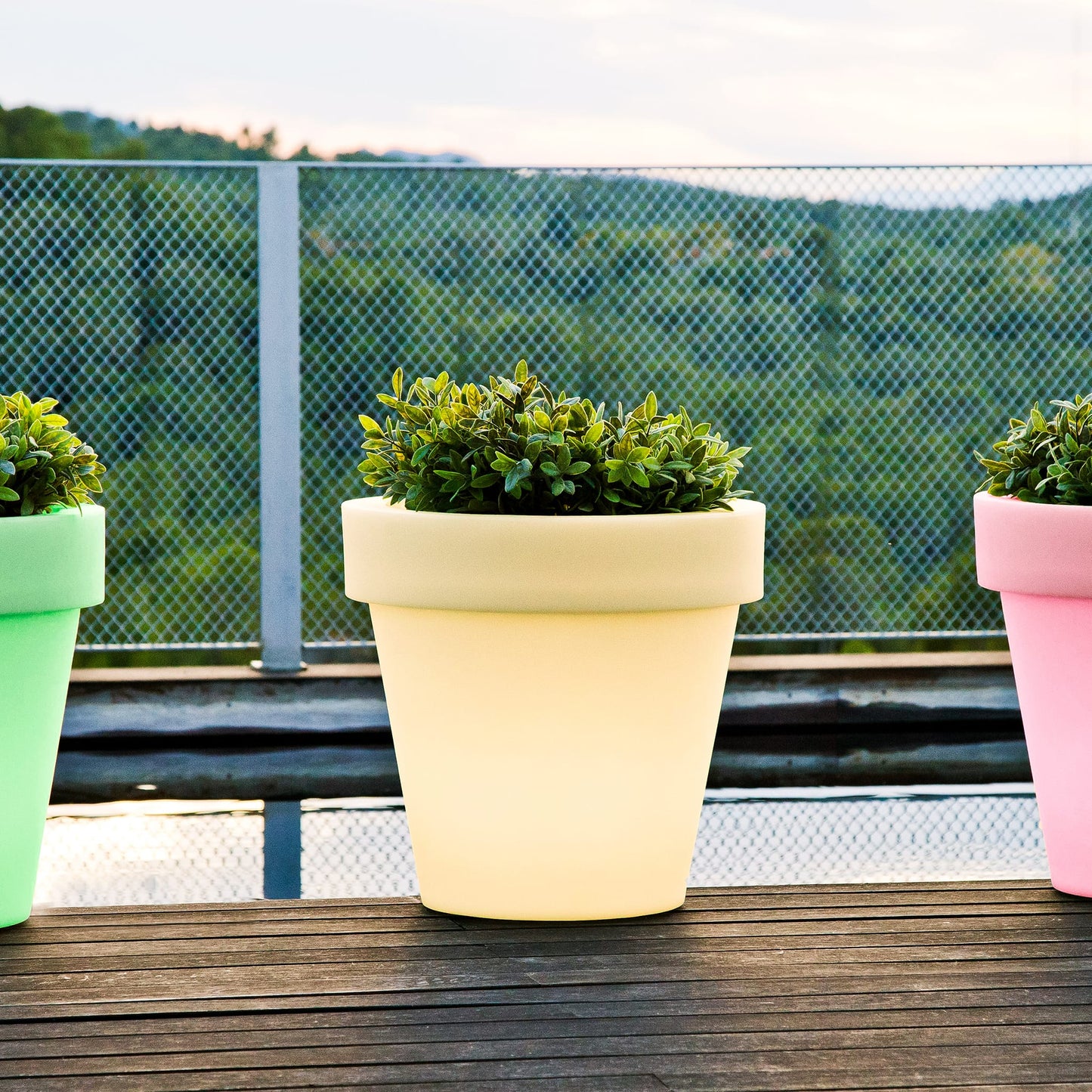 Magnolia<br> Solar & Rechargeable