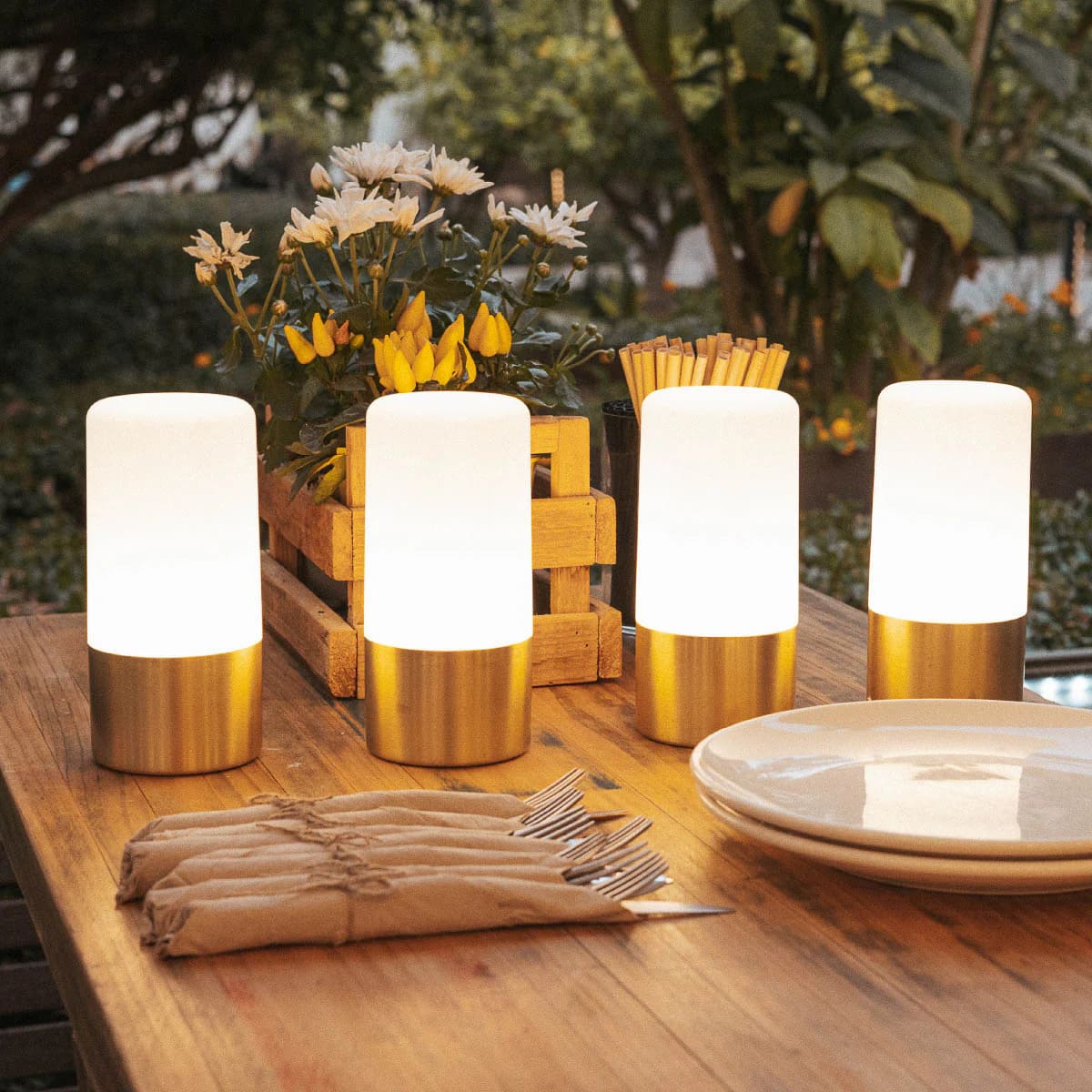 Maia<br> Rechargeable Table Lamp