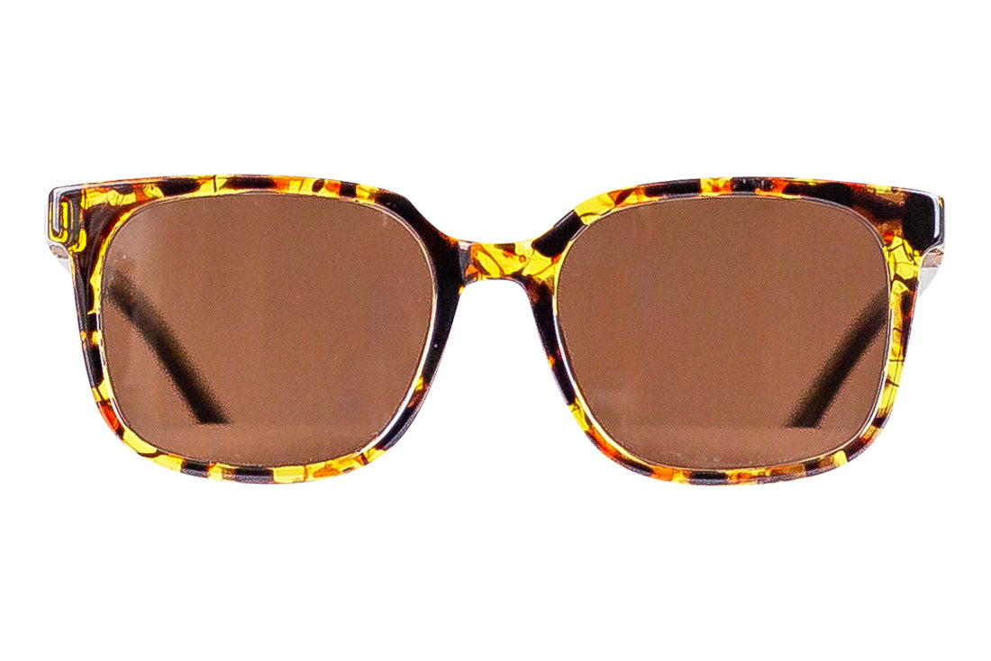 Sunglasses - Boss | Tortoise