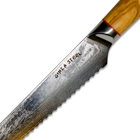 MIA Z | BREAD KNIFE 8" Damascus AUS10 Steel 67 Layer / Olive Wood handle