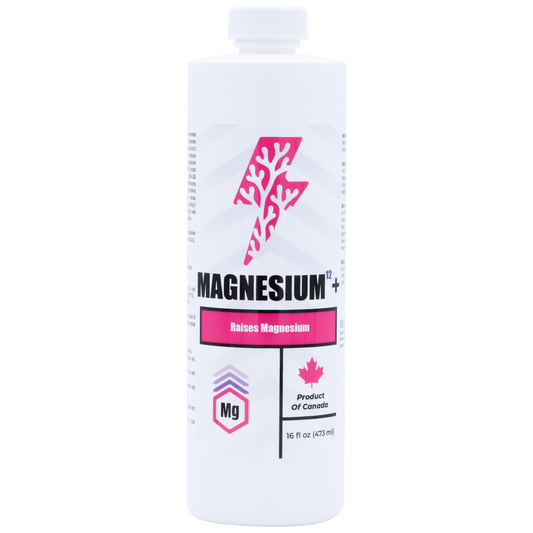 Magnesium¹²+