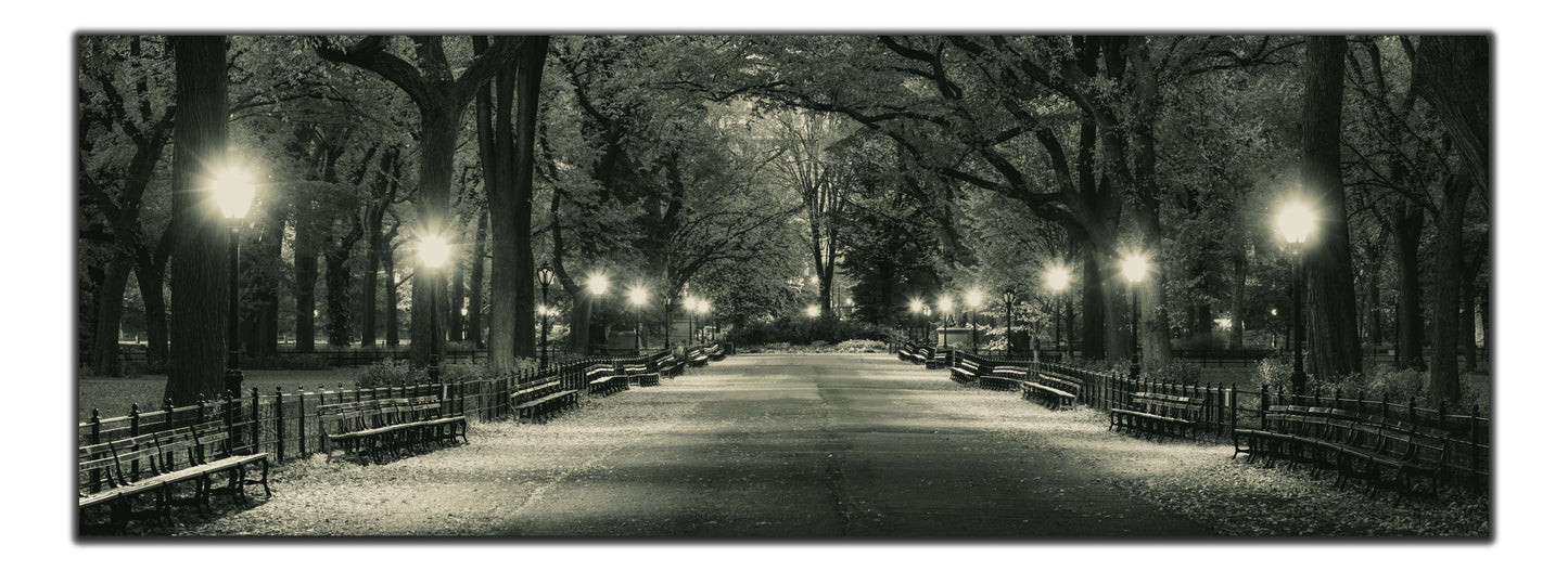 The Mall in Central Park 72" x 24"