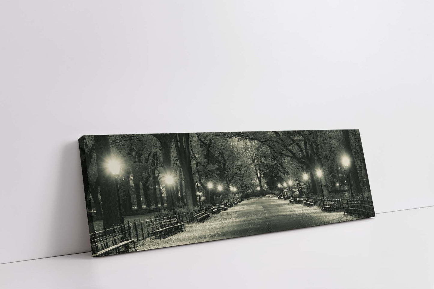 The Mall in Central Park 72" x 24"
