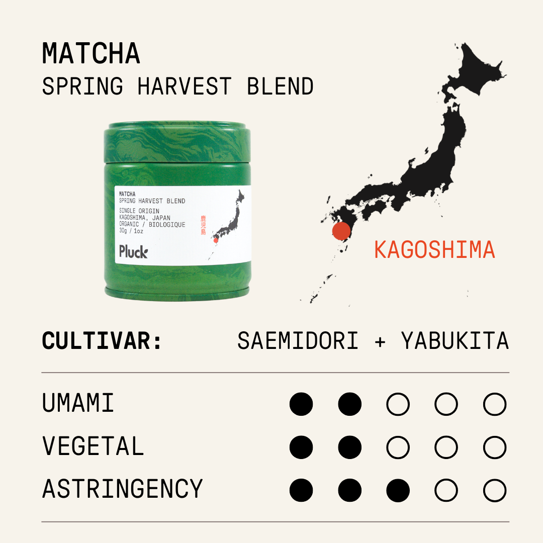 Organic Spring Harvest Blend Matcha