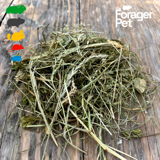 Meadow Foraging Mix