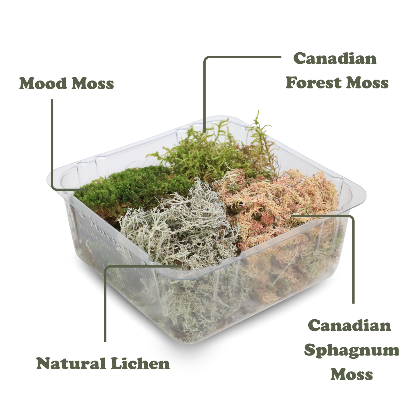 Revita-Moss Mixed Pack