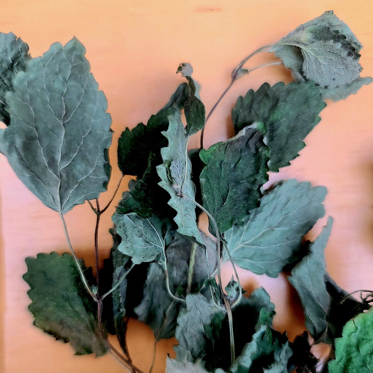 Orchard Experience Mix