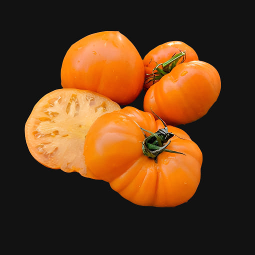 Orange Beefsteak Tomato