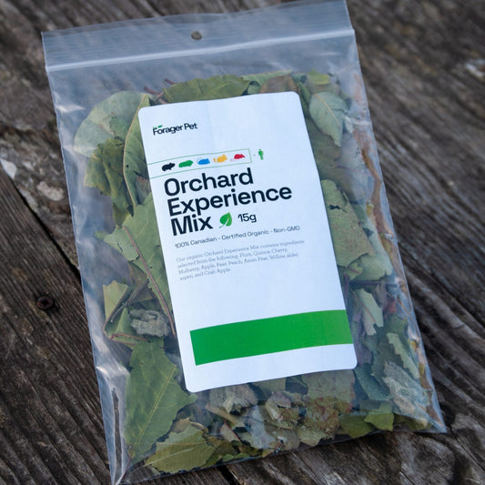 Orchard Experience Mix