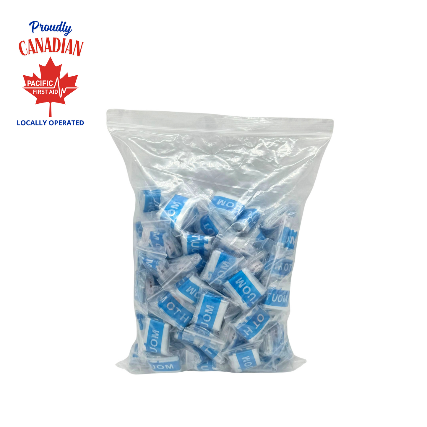 CPR Face Shield (in Bag)