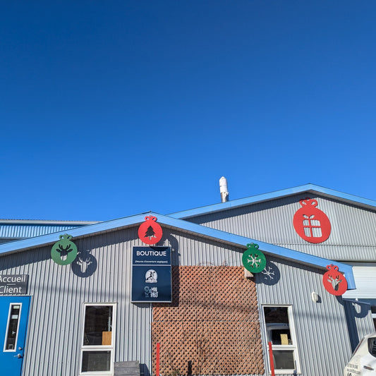 Boule de Noël - Extra géante !