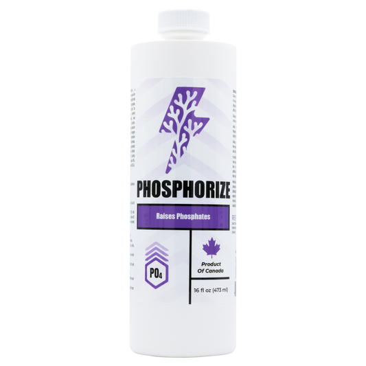 Phosphorize