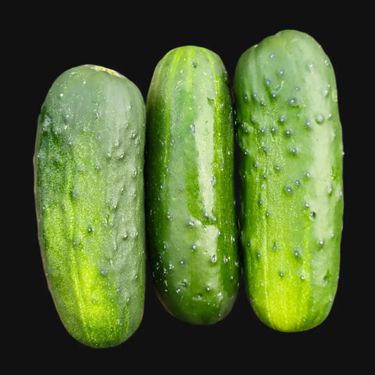 Pickling Cucumber