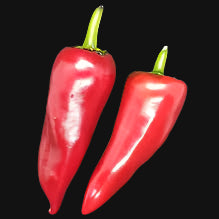 Basque Pepper