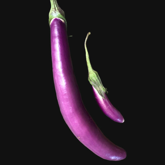 Ping Tung Eggplant