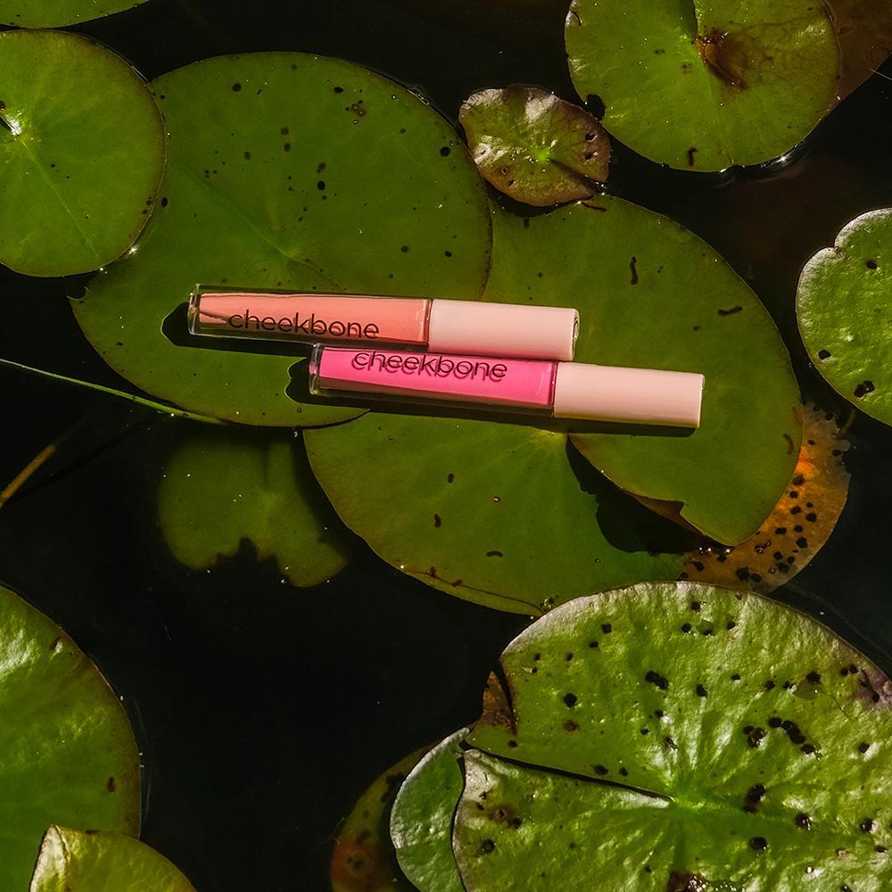 Brillant à lèvres Harmony