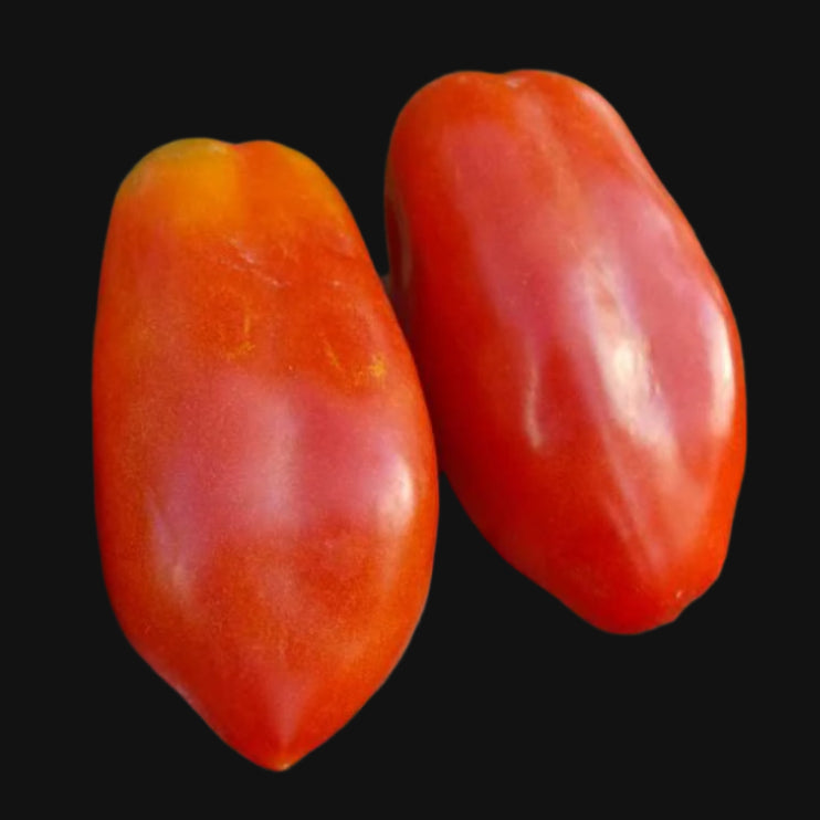 Pompeii Sauce Tomato