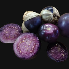 Purple Tomatillo