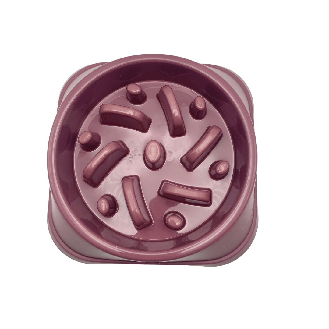 Gamelle Amusante pour Chien – Anti-obésité, Anti-étouffement et Antidérapante