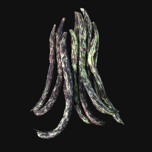 Rattlesnake Pole Bean