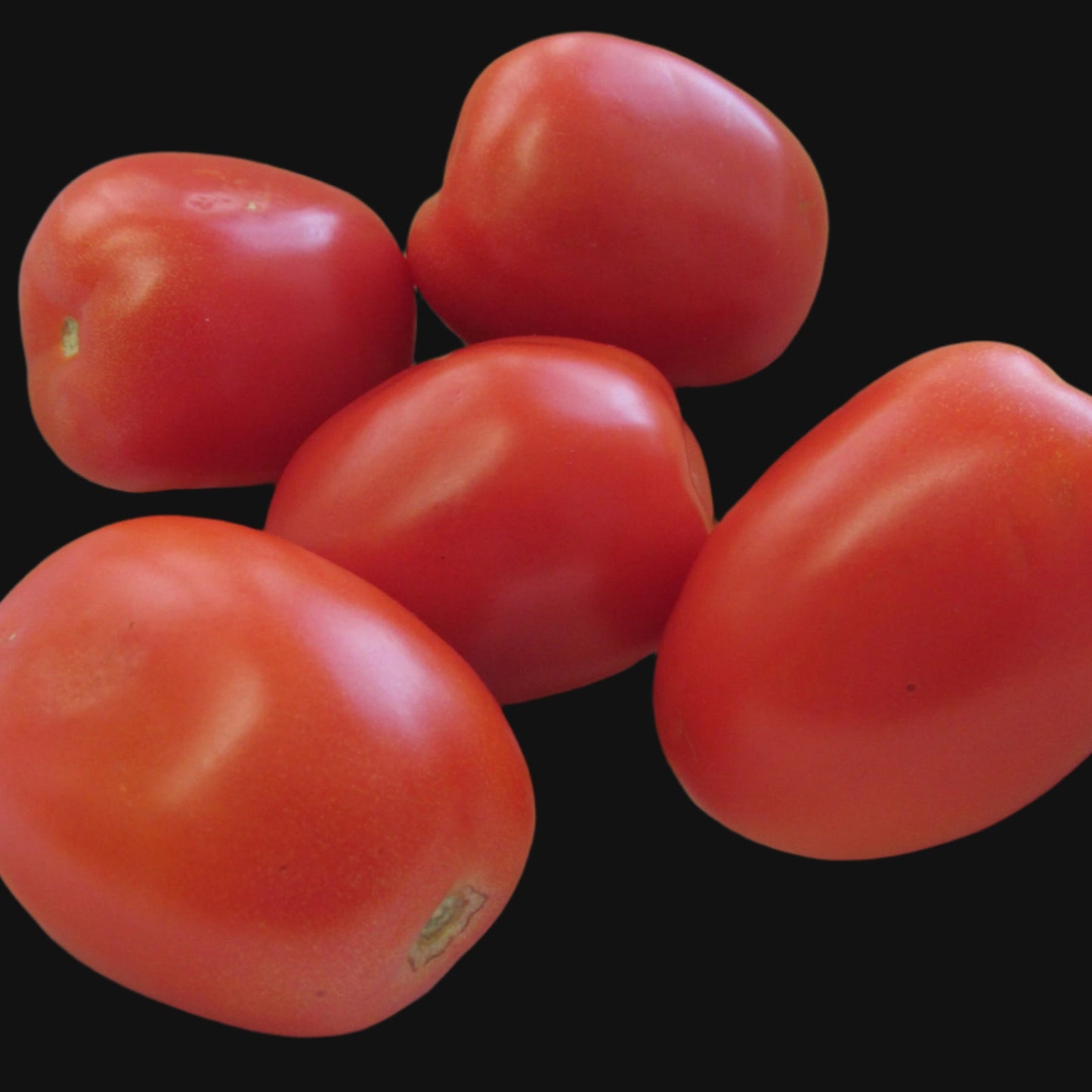 Red Plum Tomato