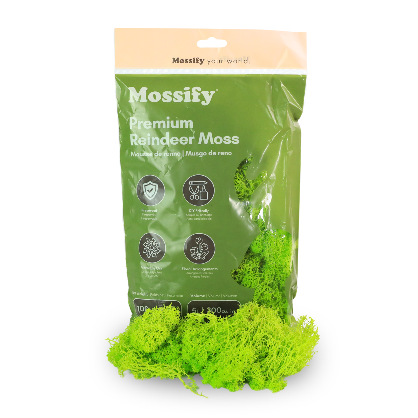Premium Reindeer Moss Bag