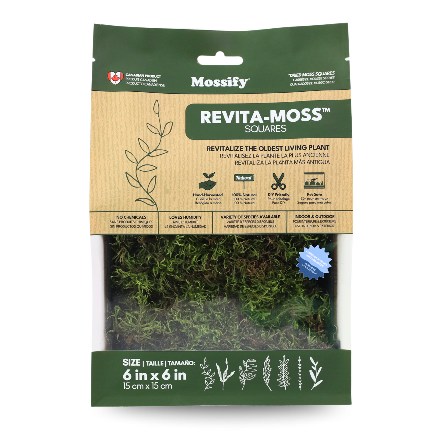 Natural Canadian Forest Moss - Revita-Moss (Pleurozium schreberi)