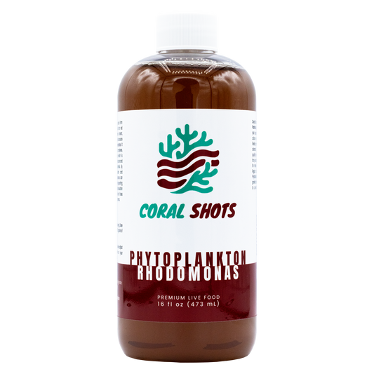 Rhodomonas Live Phytoplankton - Coral Shots