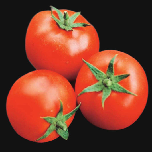 Rocket Tomato