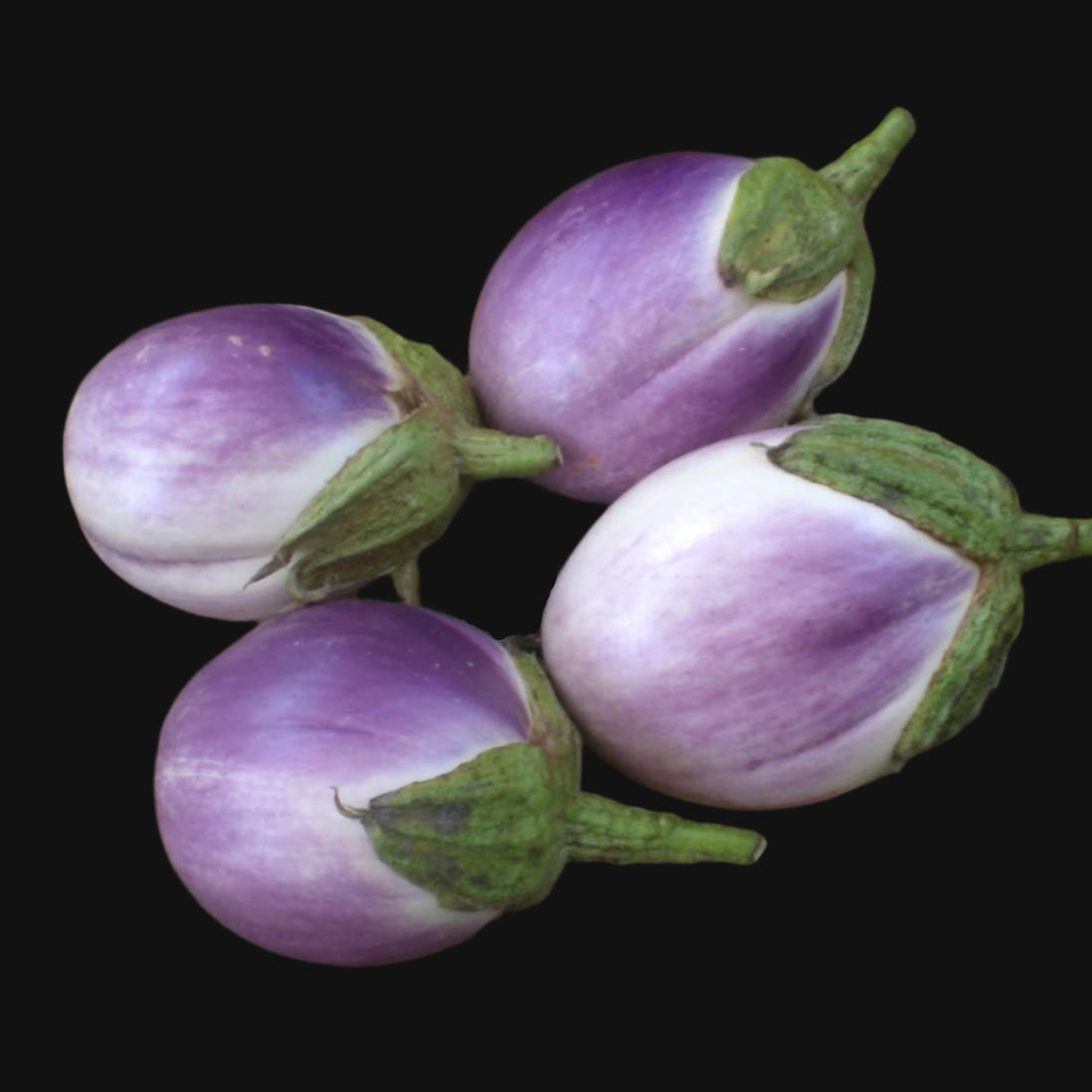 Rosa Bianca Eggplant