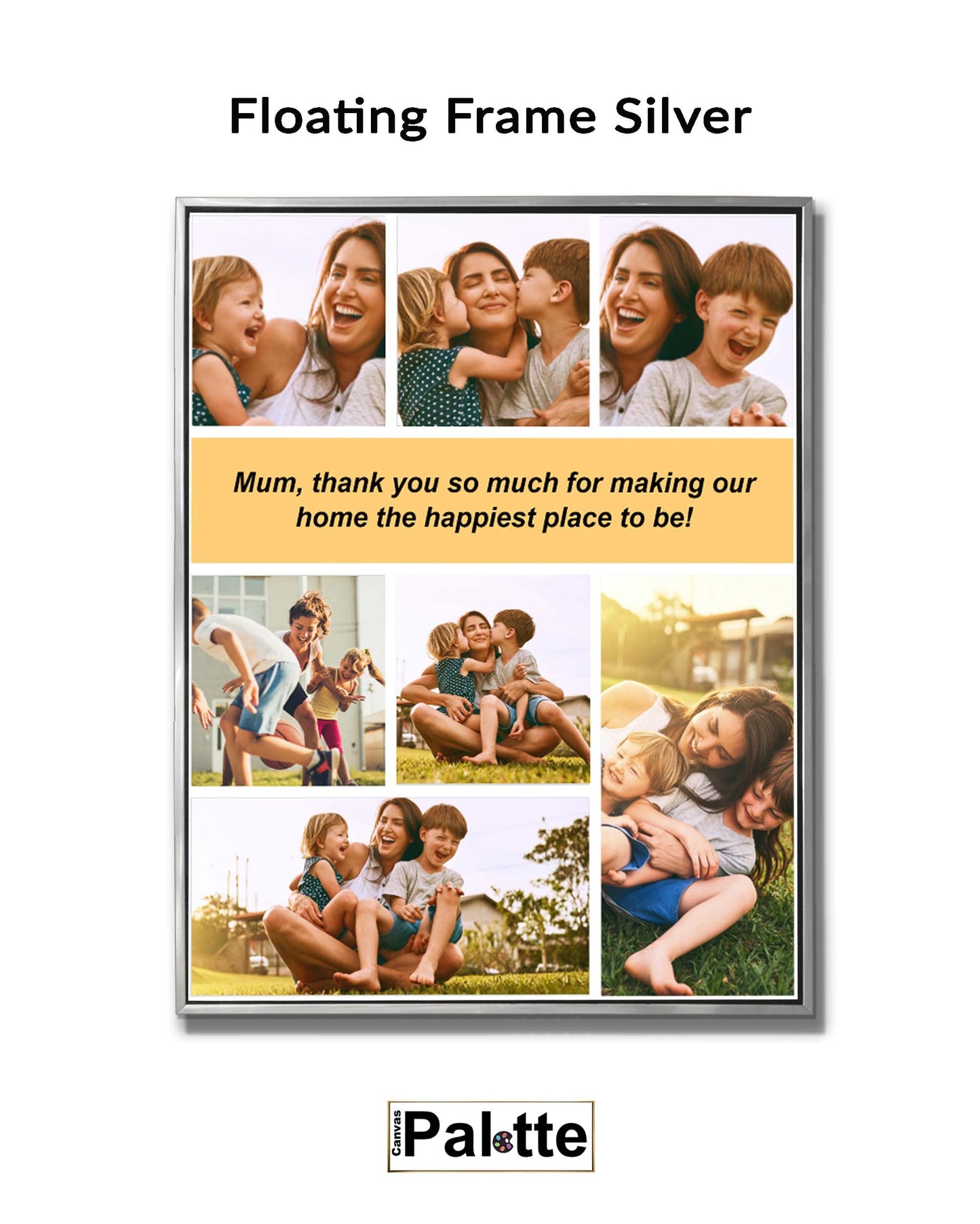 Floating Frame Silver/Black