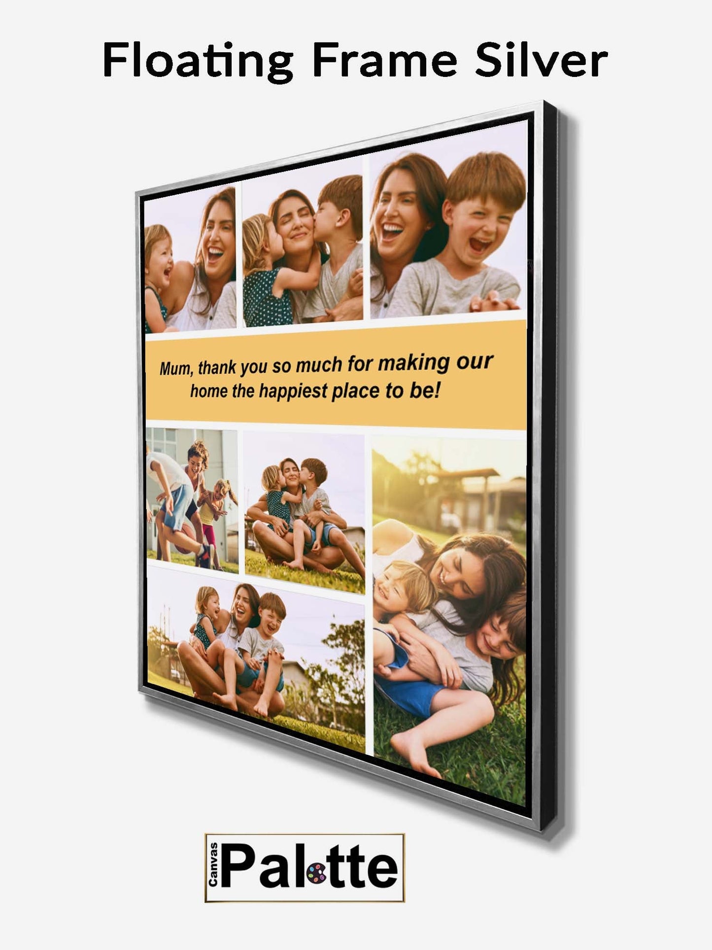 Floating Frame Silver/Black