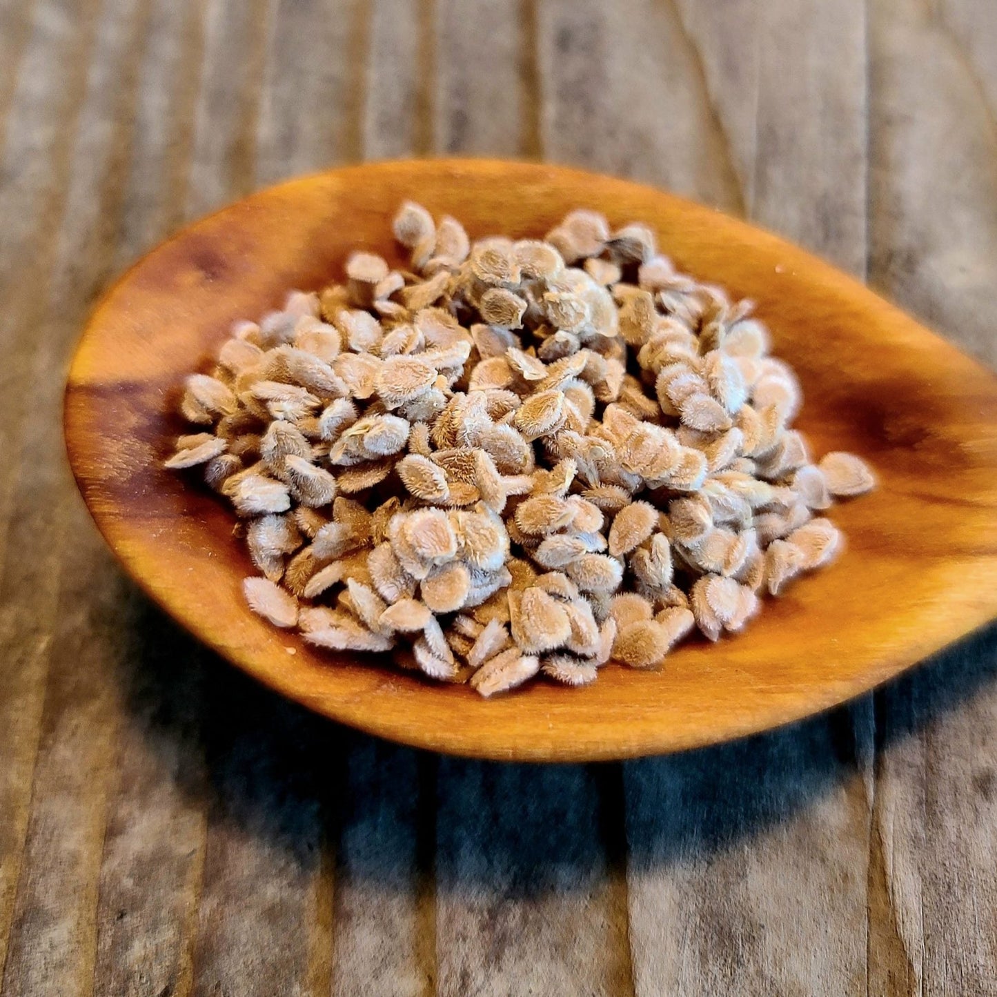 Yellow Stuffer Tomato