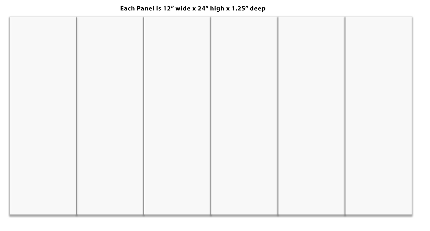 Split Canvas Prints 6 Panel 12" x 24"/panel