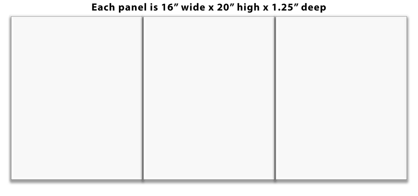 Split canvas prints 3 panels Triptych 16" x 20" each Panel
